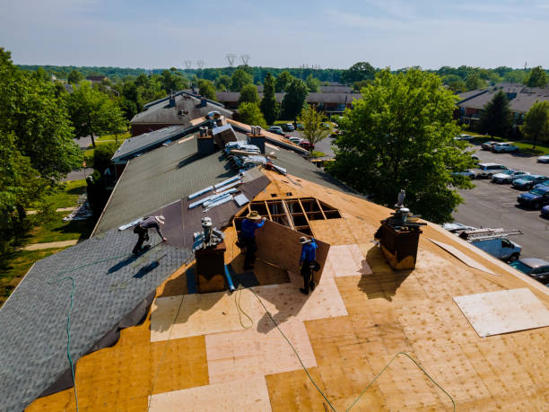 Best Roof Repair Services  in Marshall, MI