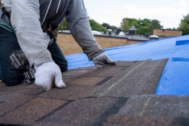 Best Roof Installation Near Me  in Marshall, MI