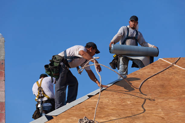 Best Roof Restoration Services  in Marshall, MI