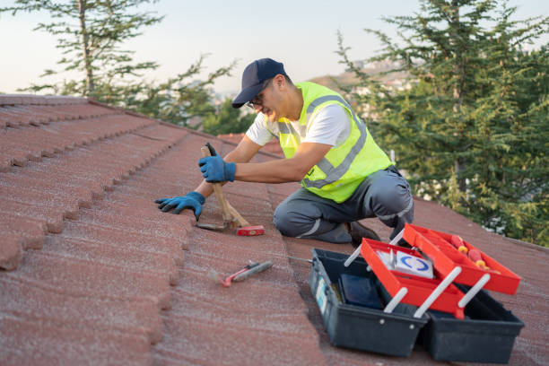 Best Sealant for Roof  in Marshall, MI