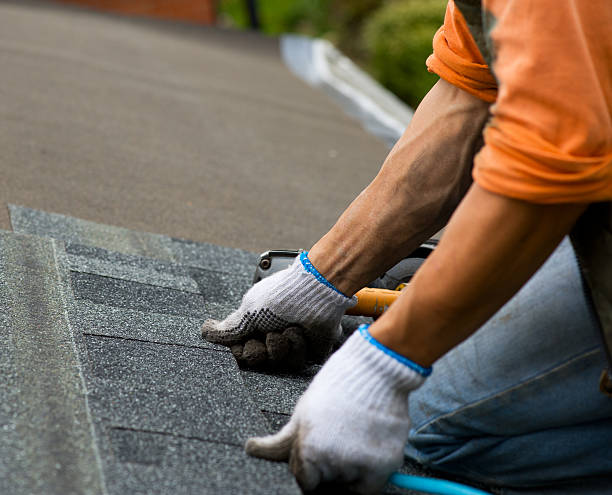Best Roof Inspection Near Me  in Marshall, MI
